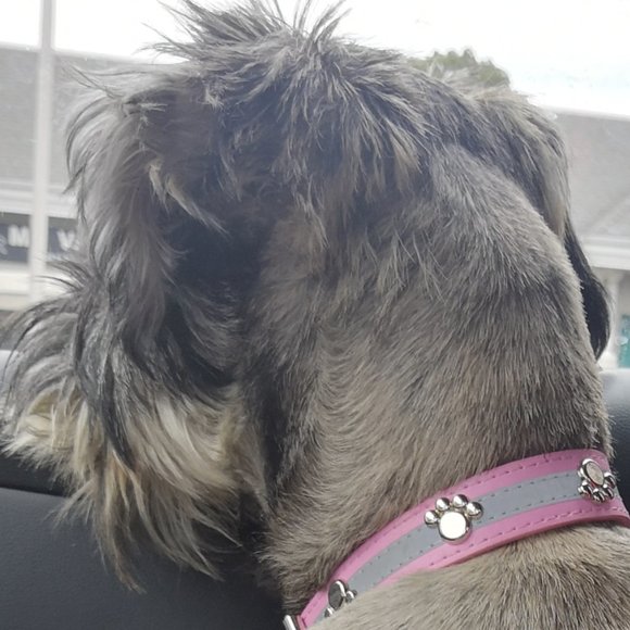 Meet your Posher, Cee - Picture 1 of 1